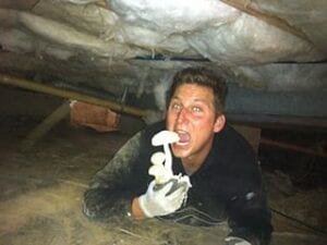 prevent mold and fungus growth in your crawlspace with our team