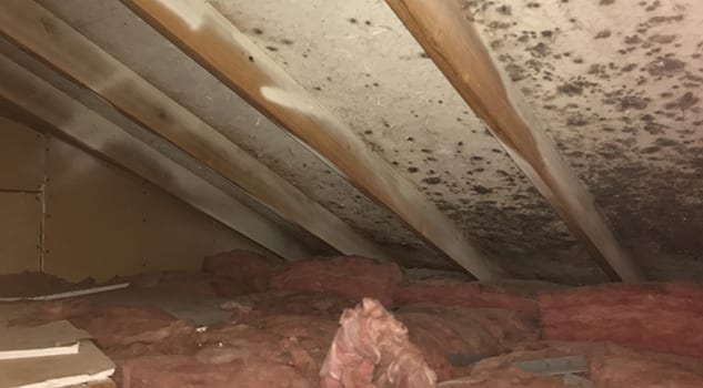 stop mold growth in your attic with waterford crawlspace remediation