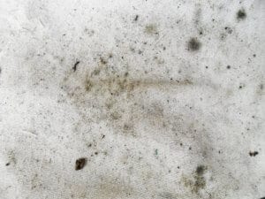 waterford crawlspace remediation can remove black mold from your crawlspace
