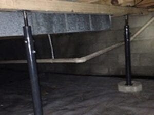 michigan crawlspace remediation can offer support for your business crawlspace